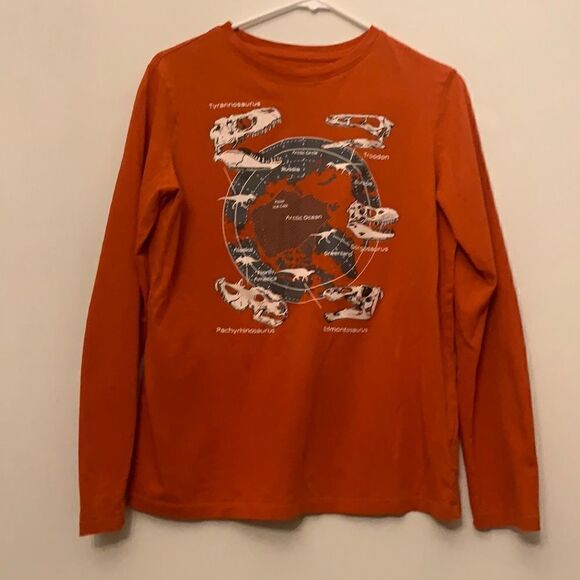 Lands' End Other - 3/$30 Lands End boys long sleeve tee. Dinosaur design. Size XL